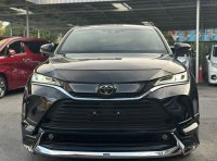 Venza modellista