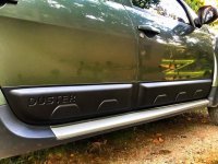 Листва на двери для Renault Duster 2010-2018
