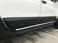 Листва на двери для Renault Duster 2010-2018