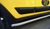 Листва на двери для Renault Duster 2018+