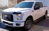 Дефлектор капота с болтами Formit Ford F-150