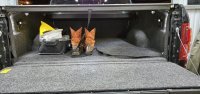 Ковровое покрытие кузова Bedrug для Ford F-150 2015-2021 Ковровое покрытие кузова Bedrug для Ford F-150 2015-2021